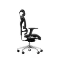 Dorsum - Executive Ergonomic Mesh Chair
